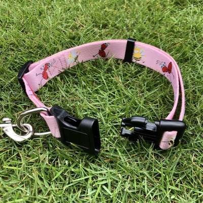 China Factory Supplier Wholesale Custom Training Collar Dog Collar with buckle