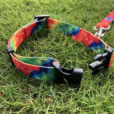 New design colourful Customized size and logo pet accessories dog collar